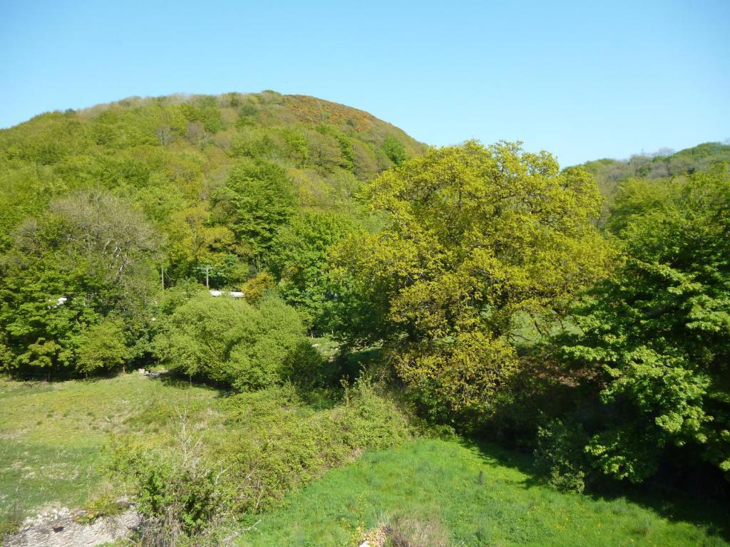Score Valley Country House Ilfracombe Kamer foto
