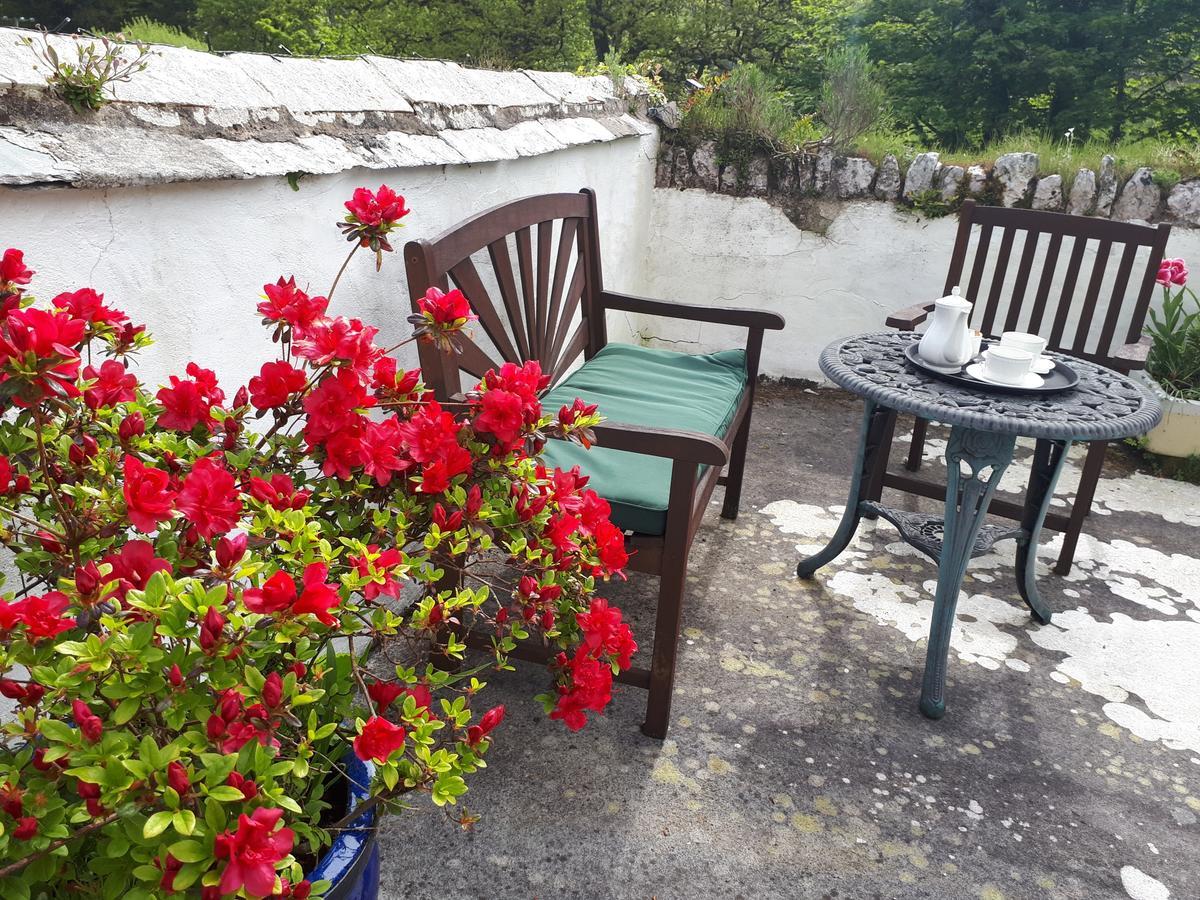 Score Valley Country House Ilfracombe Buitenkant foto